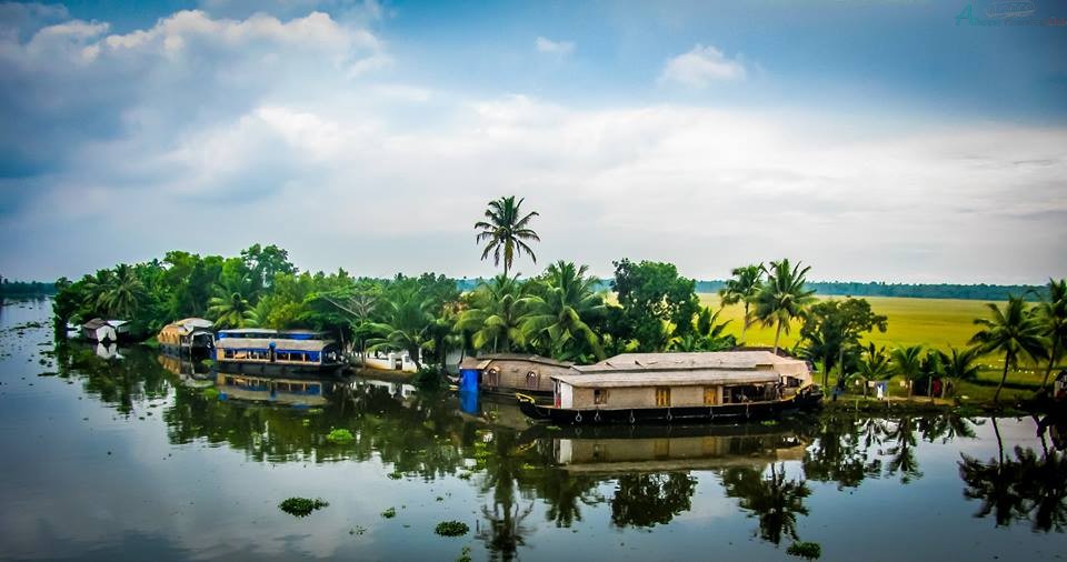 alleppey houseboat day cruise - alleppey houseboat club