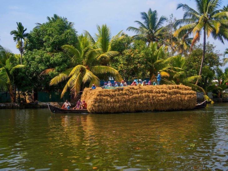 day cruise alleppey