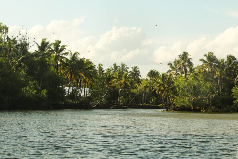 Trivandrum Backwater Poovar
