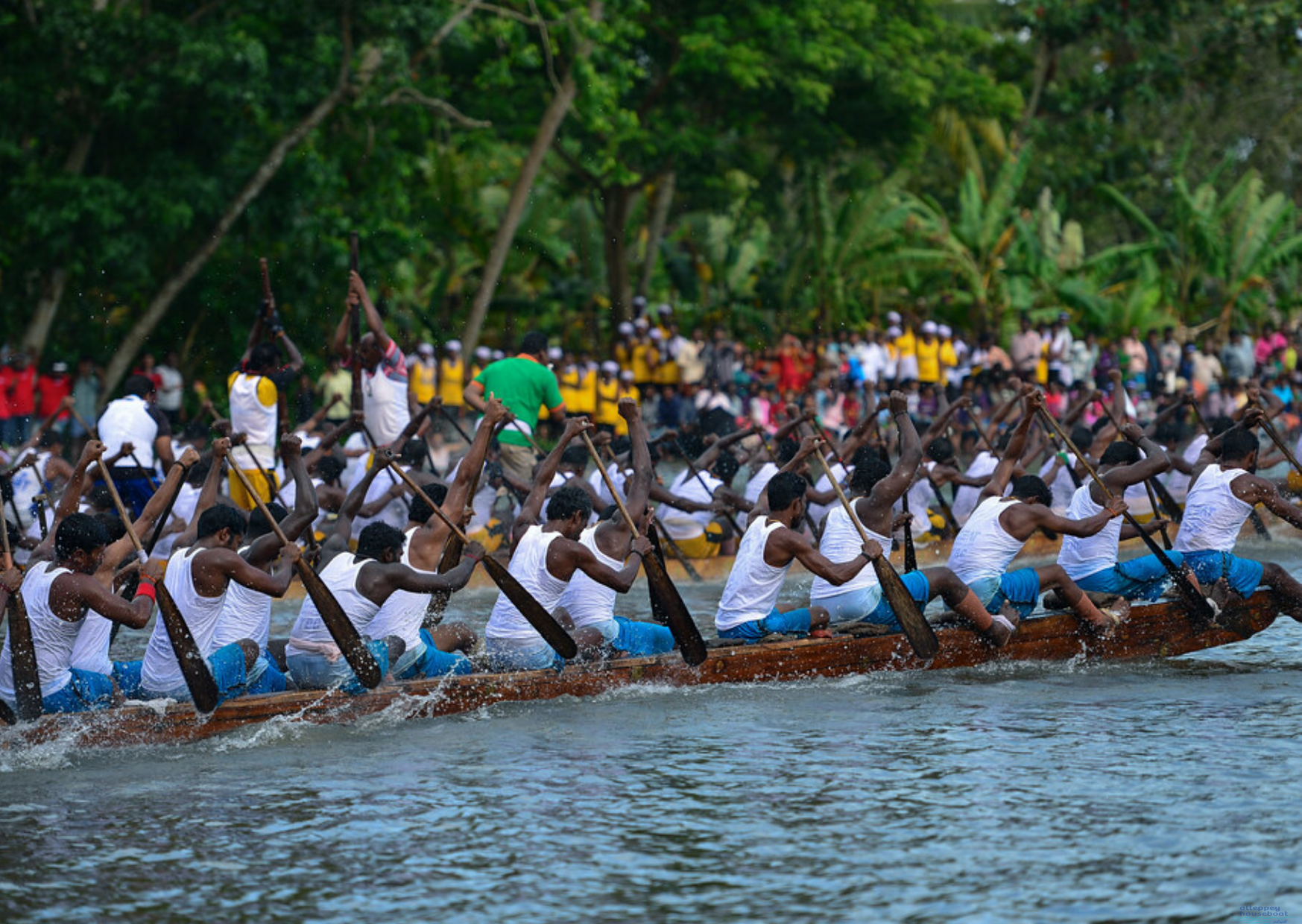 Boat Race Festival