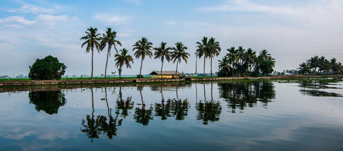 Ashtamudi backwaters