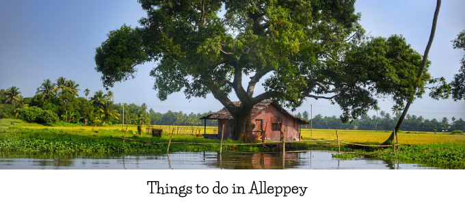 things to do in alleppey