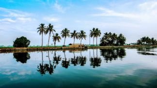 Backwater Kerala Photo