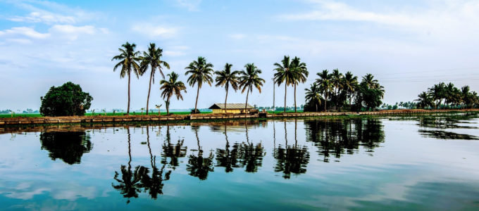 Backwater Kerala Photo